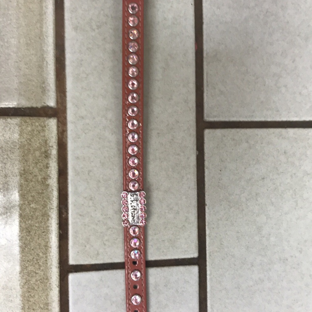 Dog collar BBSimon
